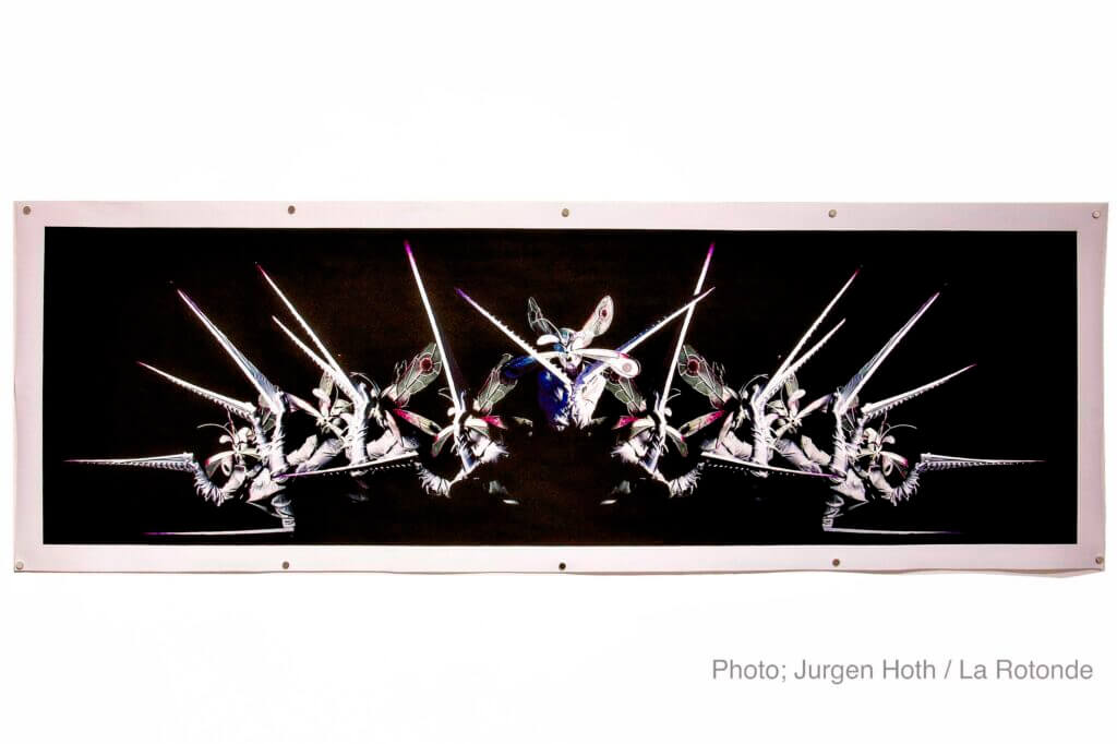 2025_11_26_27_ottawa_jhoth_do_birds_blush-00003